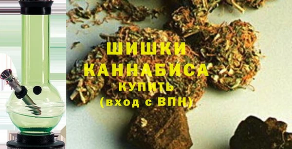 шишки Аркадак